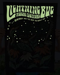Image 2 of Lightning Bug Music Festival 2022