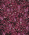 tonguetonguetongue (4x5, 8x10, 11x14, or 13x16 inches) fine art print
