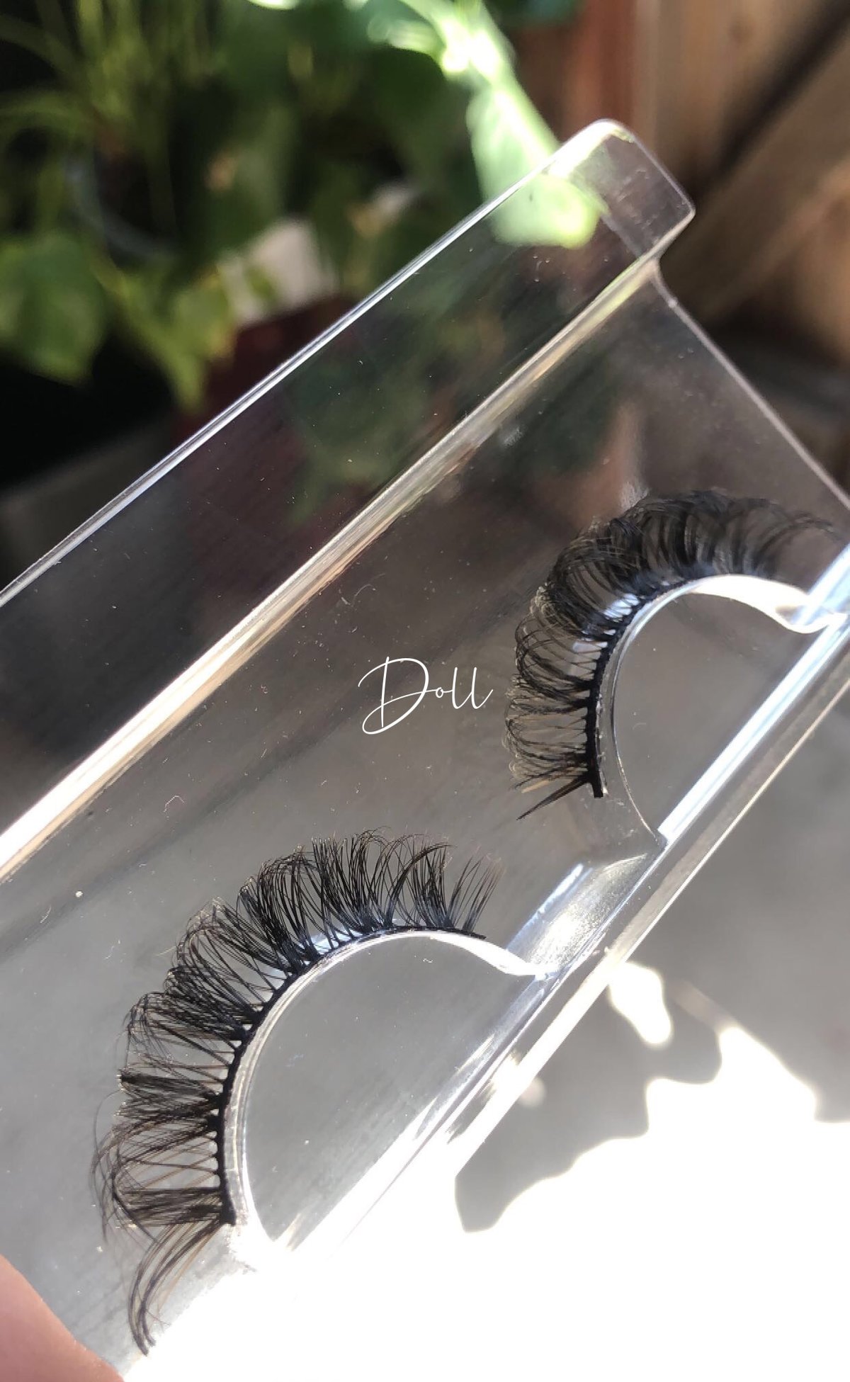 Image of “Doll” Lashes