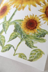 Image 2 of 'Sunflowers' Limited Ed Print