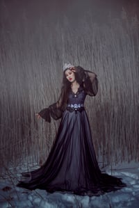 Image 1 of Silver moon gown