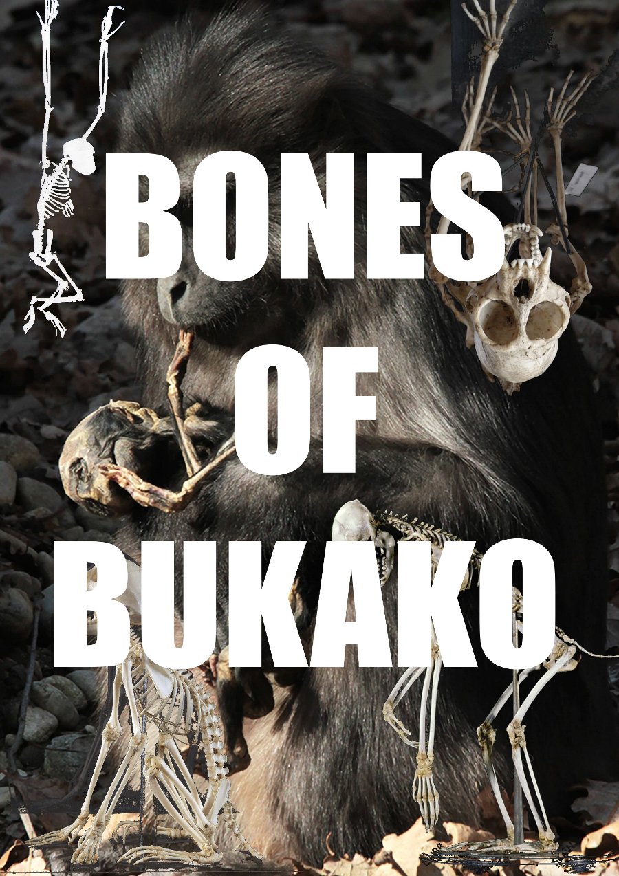 BONES of BUKAKO - PDF