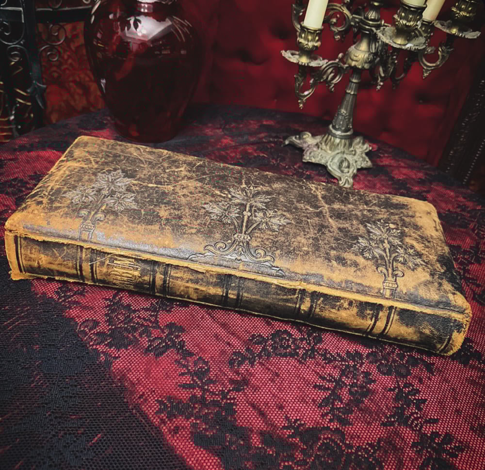 Image of Victorian Cabinet Card Photo Album