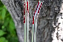 Blood Drips Glass Straw