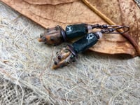 Image 2 of Organic Pod and Roman glass earrings/ n94