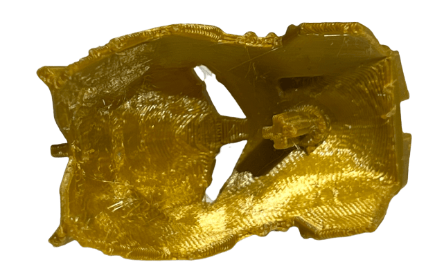 Gold ignika 2025