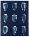 Contact Sheet #2