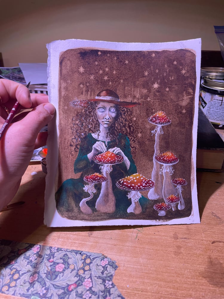 Image of The Amanita Tailor