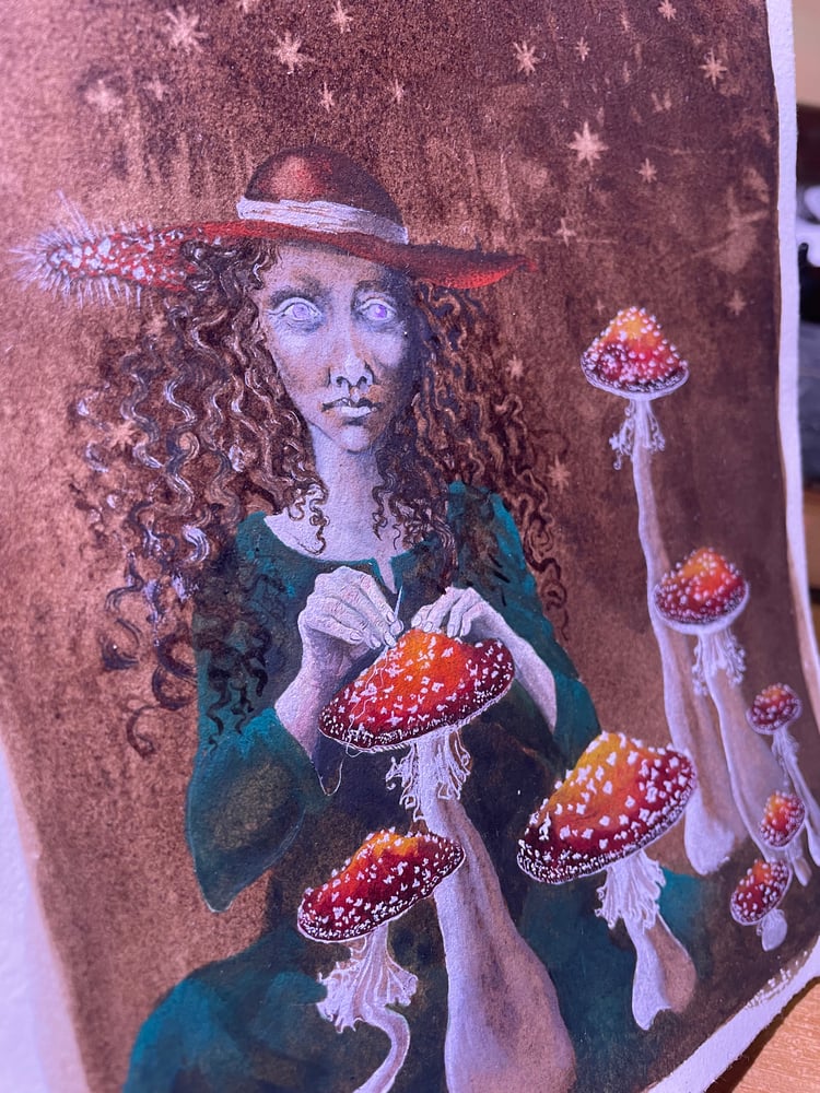 Image of The Amanita Tailor