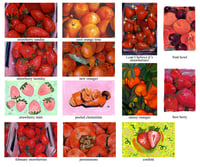 Image 1 of Fruit Series