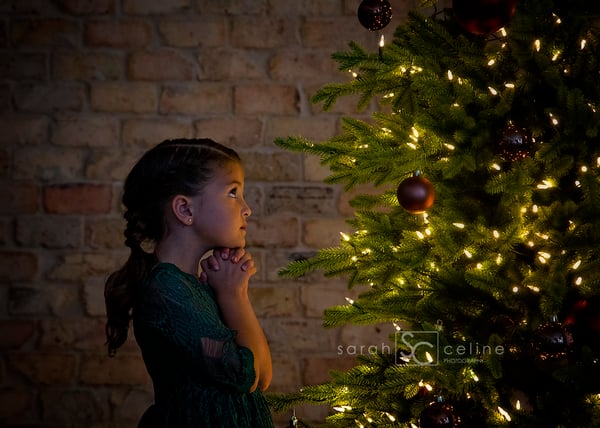 Image of O Christmas Tree Mini Session  *NEW this year!