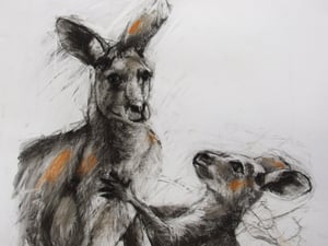 Image of Original drawing of a mother and teen kangaroo