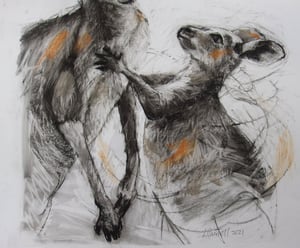 Image of Original drawing of a mother and teen kangaroo 