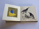 Artist Book, Concertina, linocuts and collage of local birds