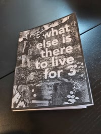 What Else is There to Live For 3 (Zine)
