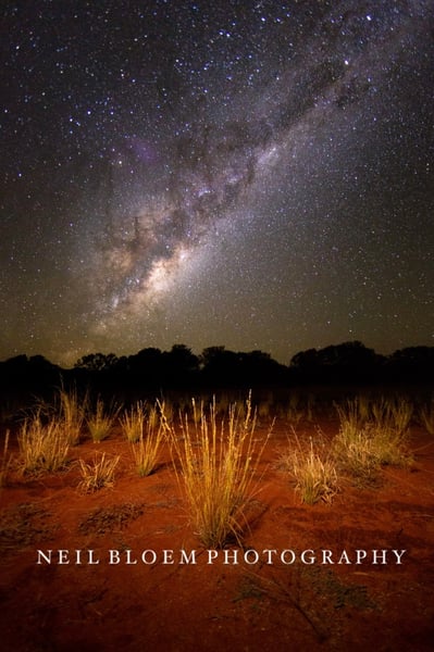 Image of Outback Nights