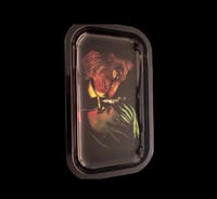 Image 1 of Various Metal Graphic Trays