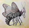 Insecta Demonia