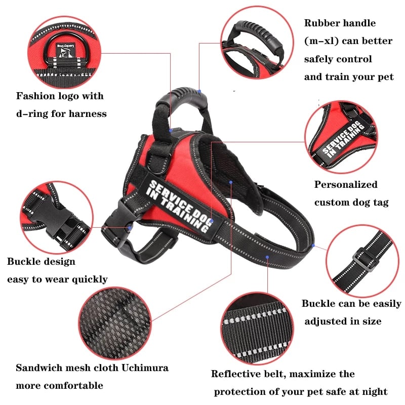 Image of Customized Pets Harness or Leash available in different colours and sizes