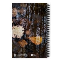 Image 3 of Transformation Journal
