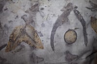 Image 5 of Eucalyptus / Ecoprint / Linen Pillowcase