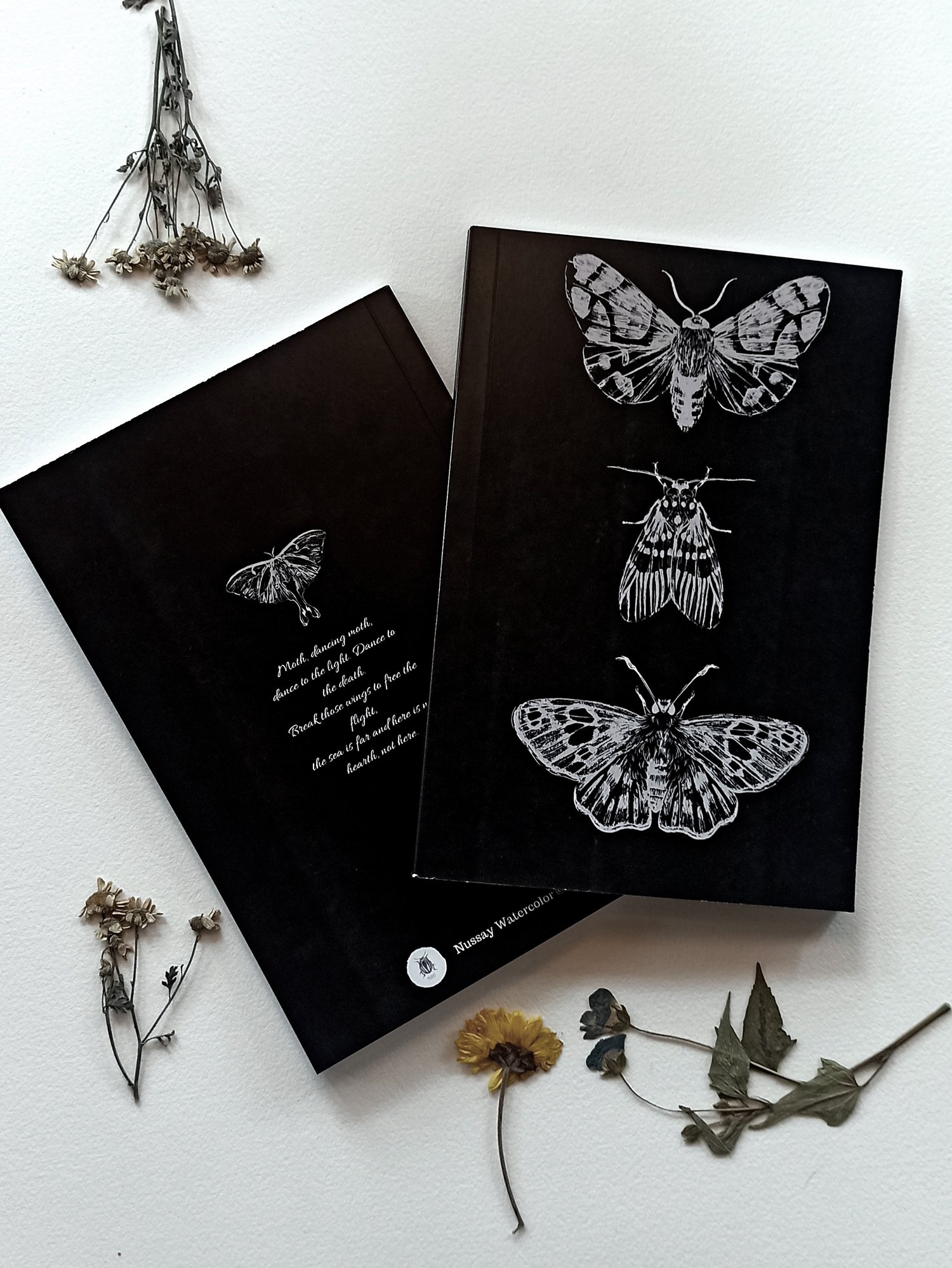 Image of Black Notebook with Moths