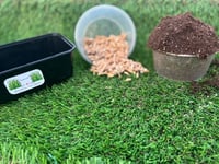 Grow at home,  Organic Wheat Grass kit 