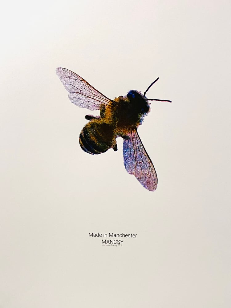 Image of A3 Bitmap Bee screen print 