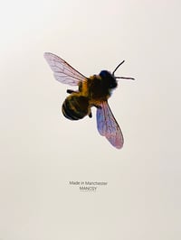 Bitmap Bee 