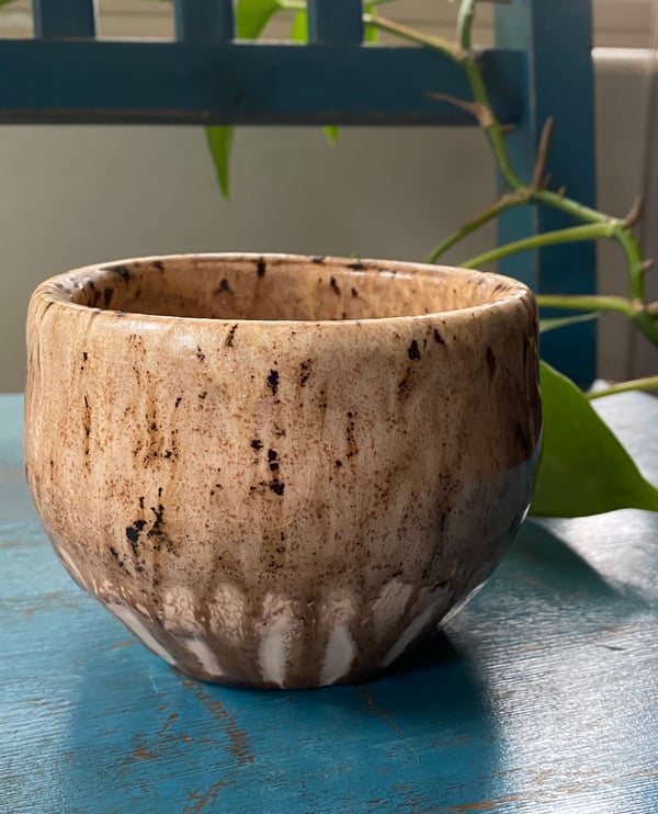 Image of Star Spotted Walnut Planter