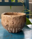 Image 1 of Star Spotted Walnut Planter