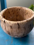Image 4 of Star Spotted Walnut Planter
