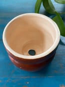 Image 3 of Honey Pot Planter