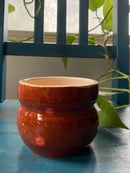 Image 1 of Honey Pot Planter