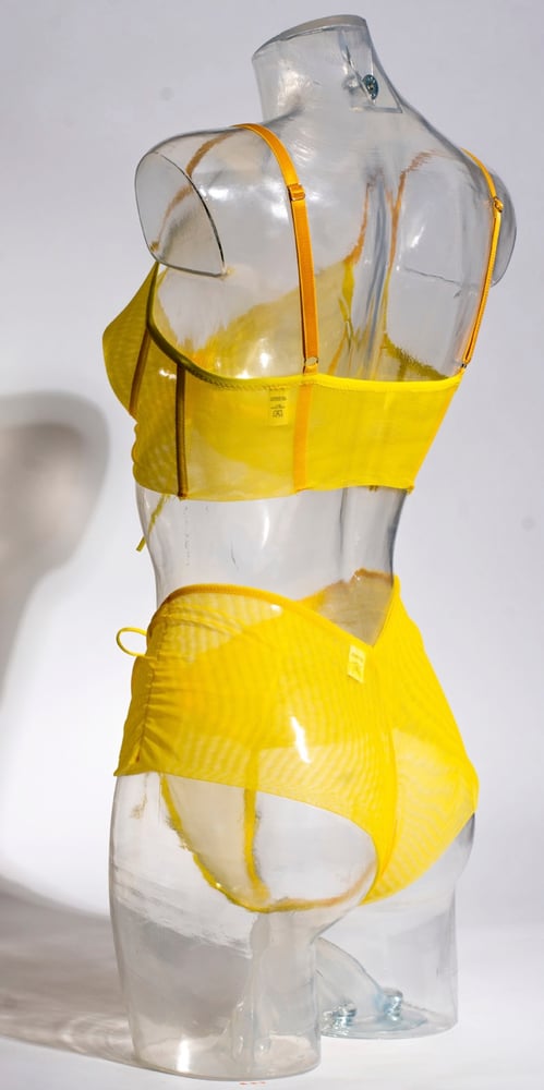 Image of Farfalle Knickers
