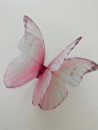 Image 2 of Floss (Larger single butterfly)