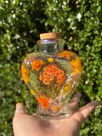 Image 3 of Solana