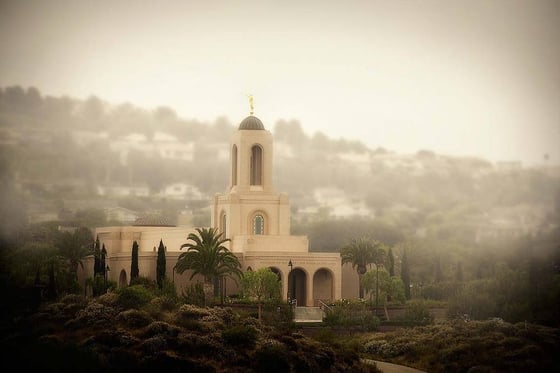 Image of Newport Temple in Morning Fog