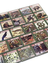 Image 4 of Ecologies Junior: Forest - Memory Game and Food Web Builder for Ages 4+