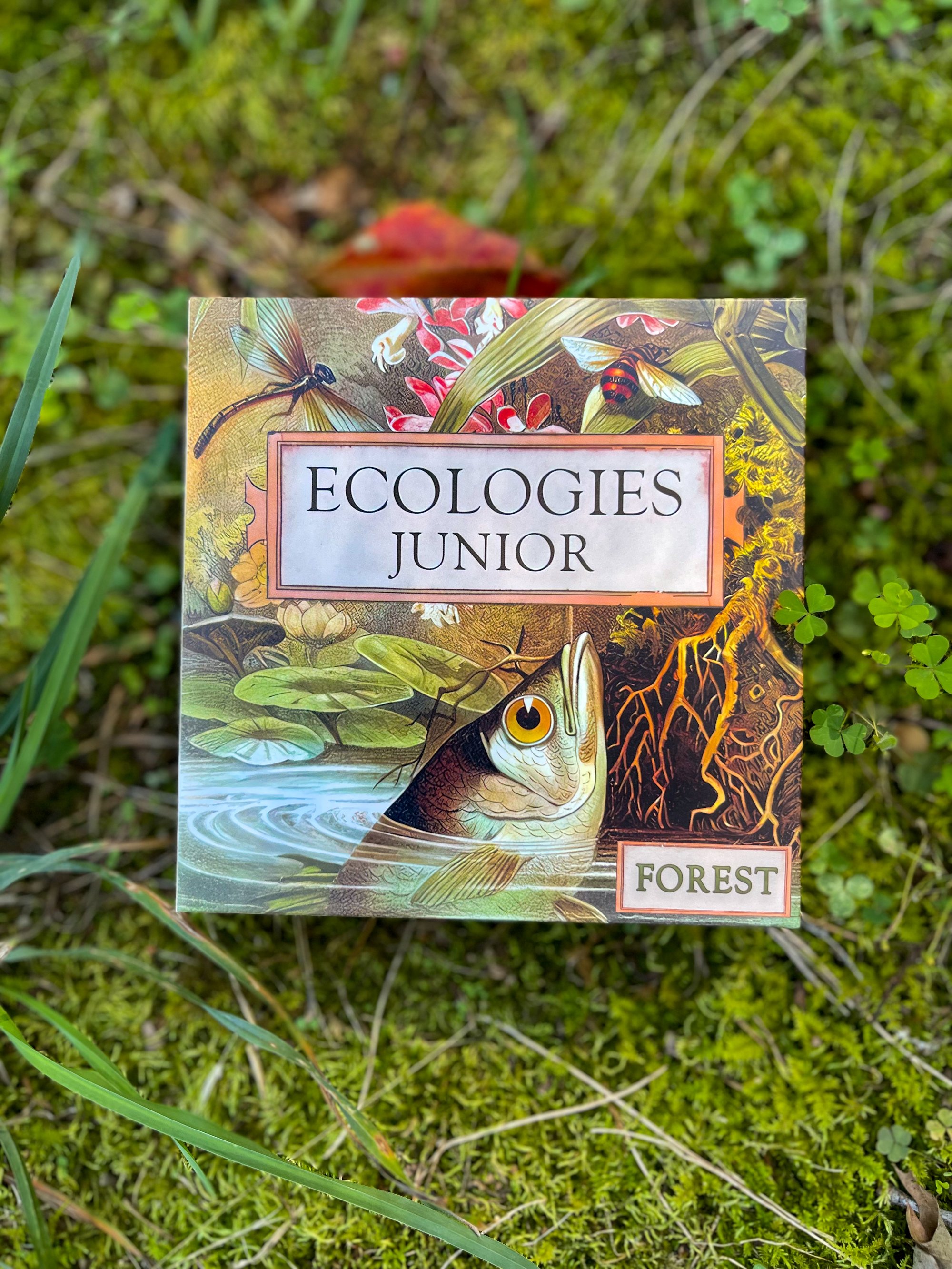 Ecologies Junior Forest Memory Game and Food Web Builder for Ages 4