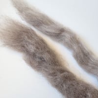 Image 3 of Wool - natural greys - BULK