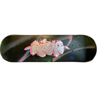 "Skateboard P."
