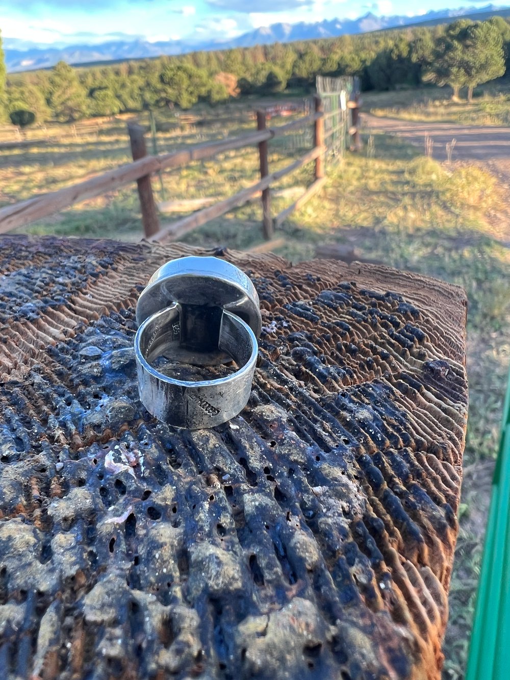 Inlay ring #1