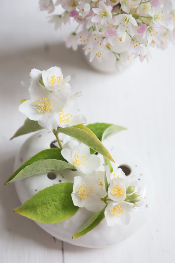 Image of -Galet pique fleurs