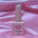 Flamingo #063