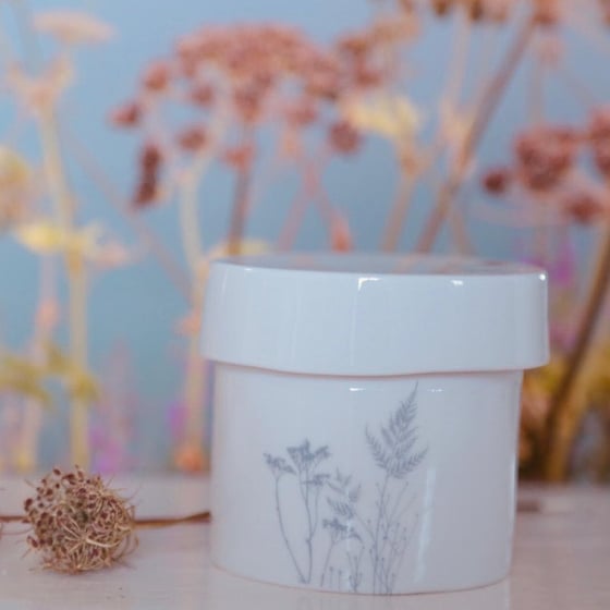 Image of -Boite Envolée S indigotina