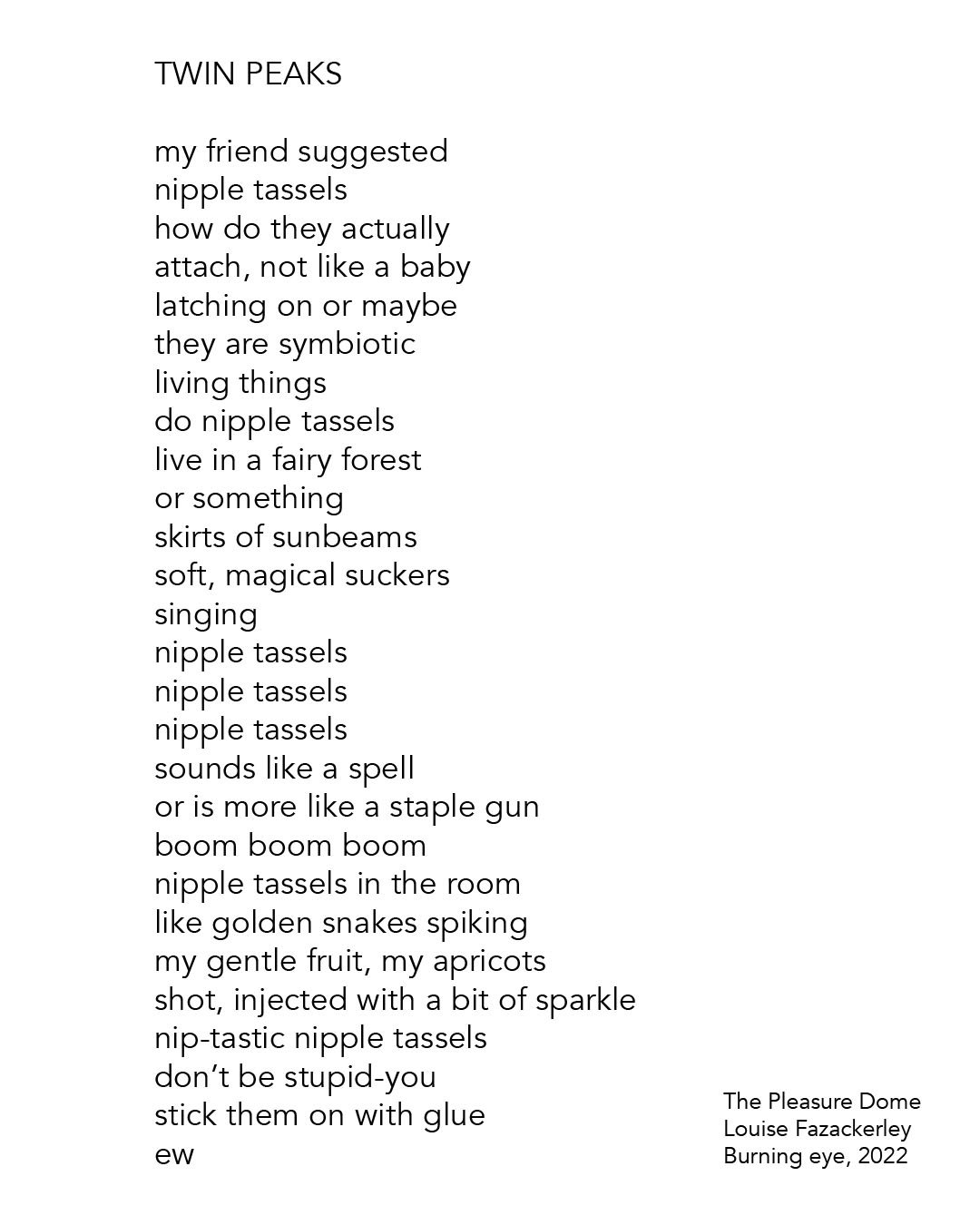 Image of The Pleasure Dome by Louise Fazackerley