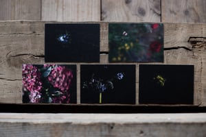 Image of lot de 5 cartes