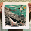 St Loy Cove Oystercatchers Print