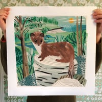 Image 2 of Porthluney Stoat Print
